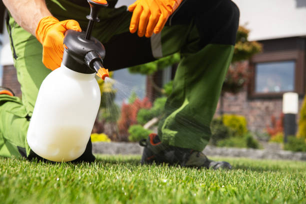 Best Flea Control Services  in Tuttle, OK