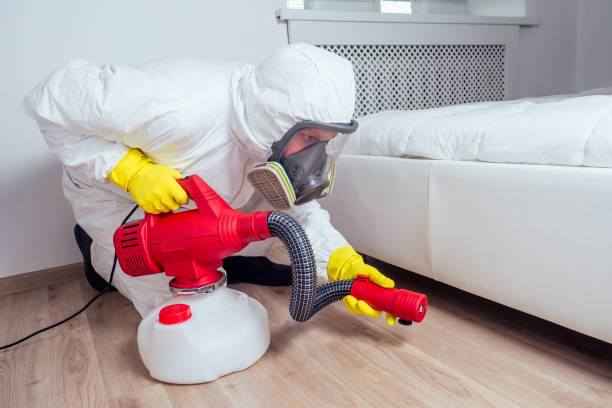 Best Mosquito Control Services  in Tuttle, OK