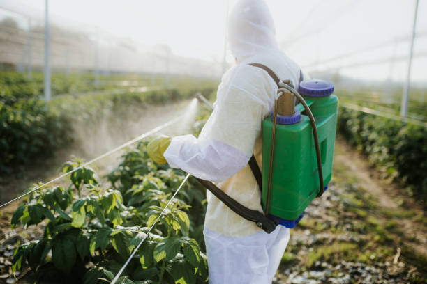 Best Flea Control Services  in Tuttle, OK